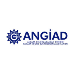angiag logo